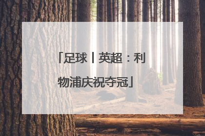 足球丨英超：利物浦庆祝夺冠