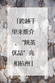 跨越千里来推介，“陕茶优品”亮相杭州