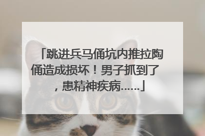 跳进兵马俑坑内推拉陶俑造成损坏！男子抓到了，患精神疾病……