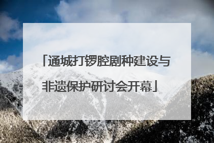 通城打锣腔剧种建设与非遗保护研讨会开幕