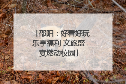 邵阳：好看好玩乐享福利 文旅盛宴燃动校园