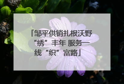 邹平供销扎根沃野“绣”丰年 服务一线“织”富路