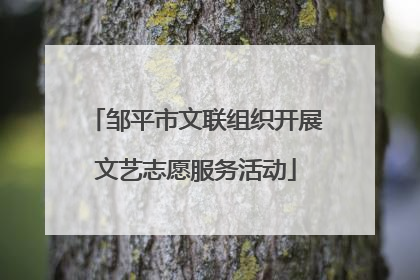邹平市文联组织开展文艺志愿服务活动