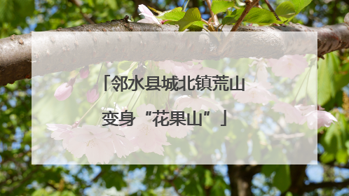 邻水县城北镇荒山变身“花果山”