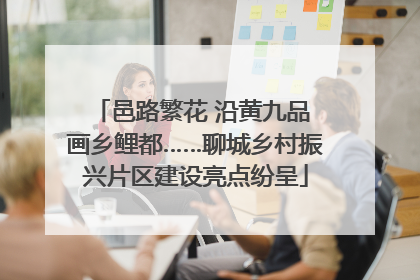 邑路繁花 沿黄九品 画乡鲤都……聊城乡村振兴片区建设亮点纷呈