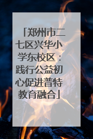 郑州市二七区兴华小学东校区：践行公益初心促进普特教育融合