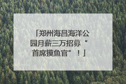 郑州海昌海洋公园月薪三万招募“首席摸鱼官”！