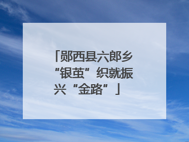 郧西县六郎乡“银茧”织就振兴“金路”