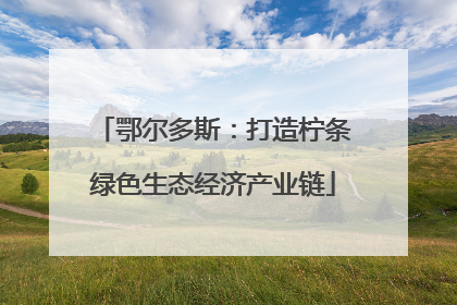 鄂尔多斯：打造柠条绿色生态经济产业链