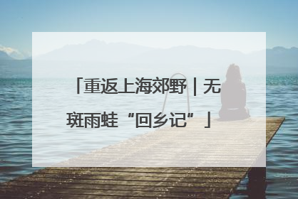 重返上海郊野｜无斑雨蛙“回乡记”