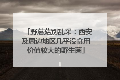 野蘑菇别乱采：西安及周边地区几乎没食用价值较大的野生菌