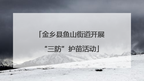 金乡县鱼山街道开展“三防”护苗活动