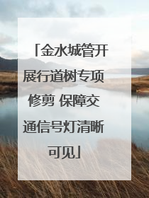 金水城管开展行道树专项修剪 保障交通信号灯清晰可见
