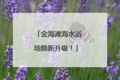 金海滩海水浴场焕新升级！