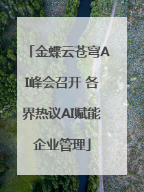 金蝶云苍穹AI峰会召开 各界热议AI赋能企业管理