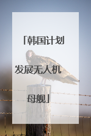 韩国计划发展无人机母舰