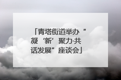 青塔街道举办“凝‘新’聚力·共话发展”座谈会