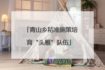青山乡精准施策培育“头雁”队伍