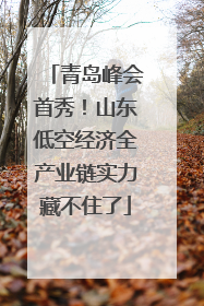 青岛峰会首秀！山东低空经济全产业链实力藏不住了