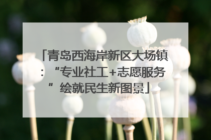 青岛西海岸新区大场镇：“专业社工+志愿服务”绘就民生新图景