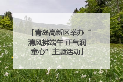 青岛高新区举办“清风拂端午 正气润童心”主题活动