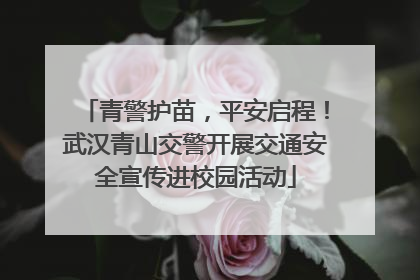 青警护苗，平安启程！武汉青山交警开展交通安全宣传进校园活动