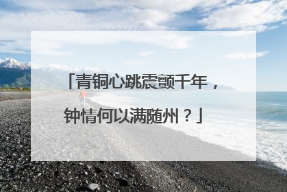 青铜心跳震颤千年，钟情何以满随州？