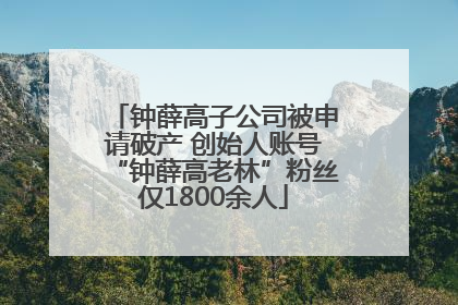 钟薛高子公司被申请破产 创始人账号“钟薛高老林”粉丝仅1800余人