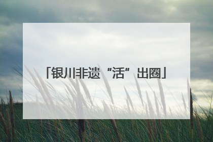 银川非遗“活”出圈