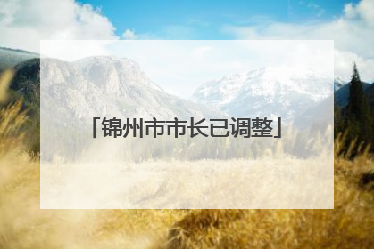 锦州市市长已调整