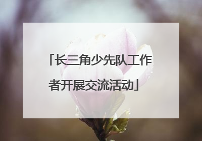 长三角少先队工作者开展交流活动