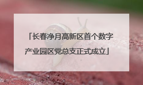 长春净月高新区首个数字产业园区党总支正式成立