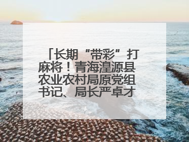长期“带彩”打麻将！青海湟源县农业农村局原党组书记、局长严卓才被“双开”