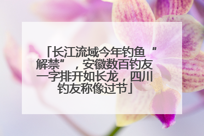 长江流域今年钓鱼“解禁”，安徽数百钓友一字排开如长龙，四川钓友称像过节