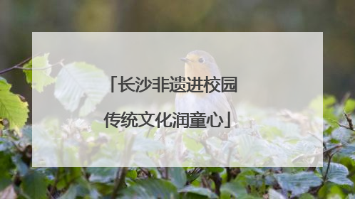 长沙非遗进校园 传统文化润童心