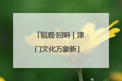 镜观·回响｜津门文化万象新