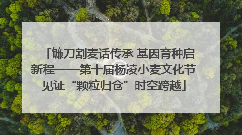 镰刀割麦话传承 基因育种启新程——第十届杨凌小麦文化节见证“颗粒归仓”时空跨越