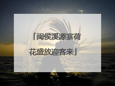 闽侯溪源寨荷花盛放迎客来