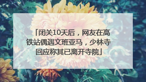 闭关10天后，网友在高铁站偶遇文班亚马，少林寺回应称其已离开寺院
