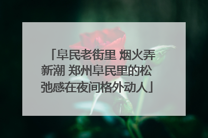 阜民老街里 烟火弄新潮 郑州阜民里的松弛感在夜间格外动人