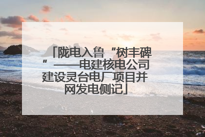 陇电入鲁“树丰碑”——电建核电公司建设灵台电厂项目并网发电侧记