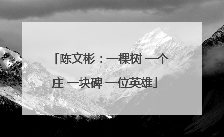 陈文彬：一棵树 一个庄 一块碑 一位英雄