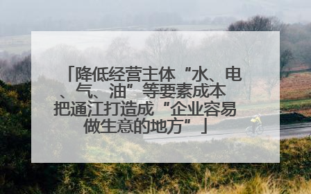 降低经营主体“水、电、气、油”等要素成本 把通江打造成“企业容易做生意的地方”