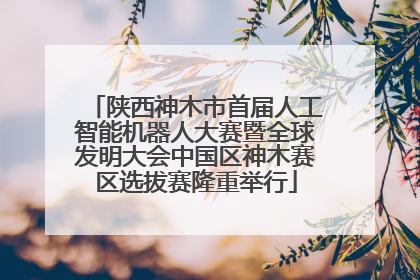 陕西神木市首届人工智能机器人大赛暨全球发明大会中国区神木赛区选拔赛隆重举行