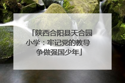 陕西合阳县天合园小学：牢记党的教导 争做强国少年