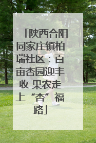 陕西合阳同家庄镇柏瑞社区：百亩杏园迎丰收 果农走上“杏”福路