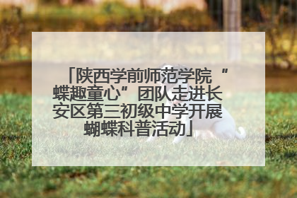 陕西学前师范学院“蝶趣童心”团队走进长安区第三初级中学开展蝴蝶科普活动