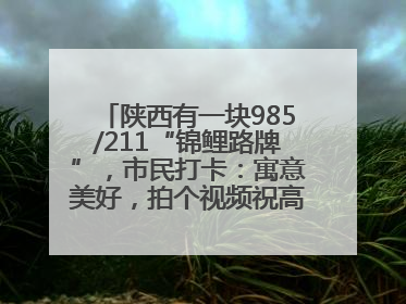 陕西有一块985/211“锦鲤路牌”，市民打卡：寓意美好，拍个视频祝高考生金榜题名