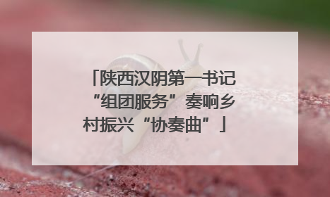 陕西汉阴第一书记“组团服务”奏响乡村振兴“协奏曲”