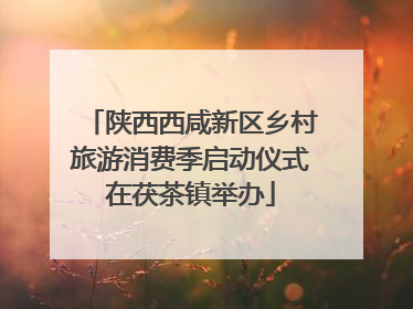 陕西西咸新区乡村旅游消费季启动仪式在茯茶镇举办